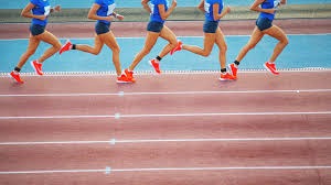 凯尔特人小球迷和远道而来的瑞士年轻人球迷互动