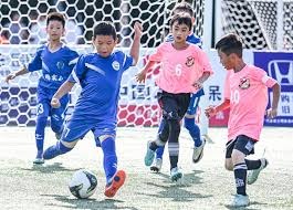 棒球与地缘文化为什么芝加哥的南区白袜与北区小熊水火不容